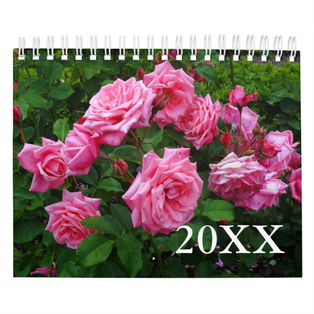 Calendrier rose #2 (Protection)
