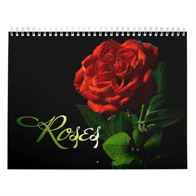 Calendrier rose 2013 (Protection)