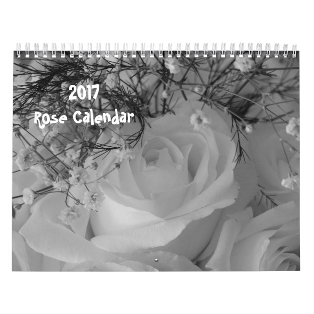 Calendrier Rose 2017 - Ramené dans le temps (Protection)