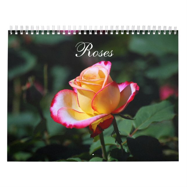 Calendrier Roses 2020 (Protection)