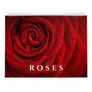 Calendrier Roses Élégantes et Photographies Florales Artistiq