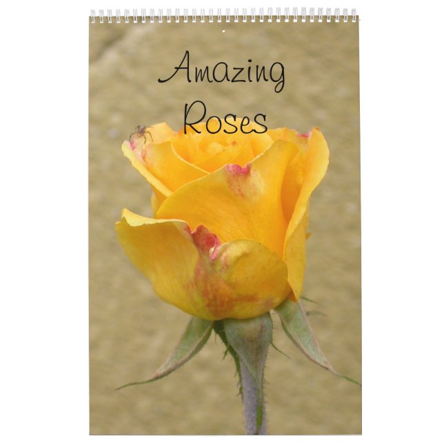 Calendrier Roses Extraordinaires 2024 (Protection)