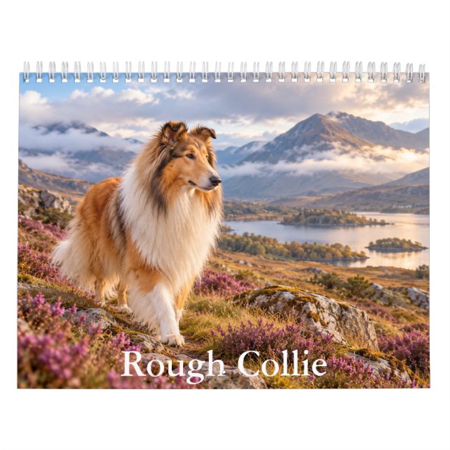 Calendrier Rough Collie (Protection)