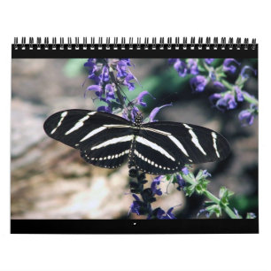 Calendrier rSEANd - nature