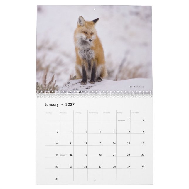 Calendrier rusé de mesdames (et messieurs) (Jan 2027)