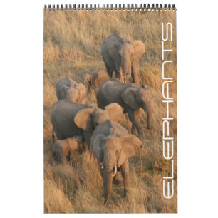 Calendrier safari à éléphants