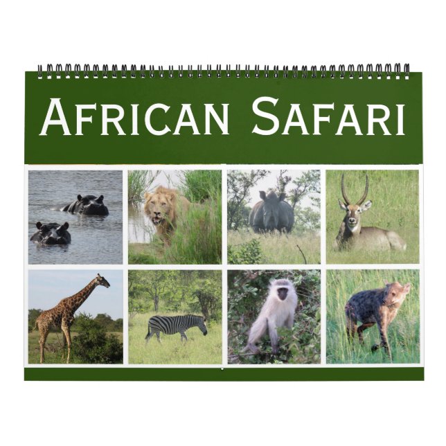 Calendrier safari africain 2026 grand format (Protection)