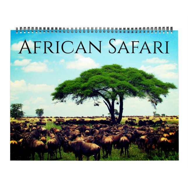 Calendrier safari africain 2027 grand format (Protection)
