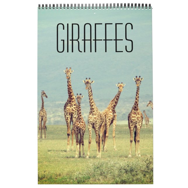 Calendrier safari africain girafe (Protection)