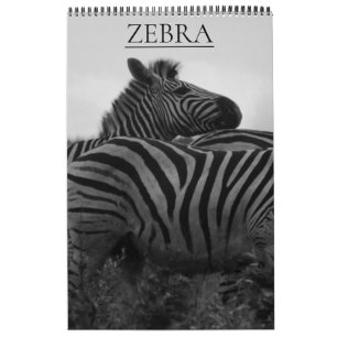 Calendrier safari aux zèbres