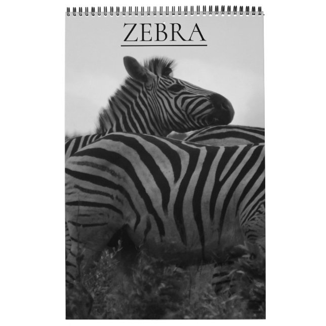 Calendrier safari aux zèbres (Protection)