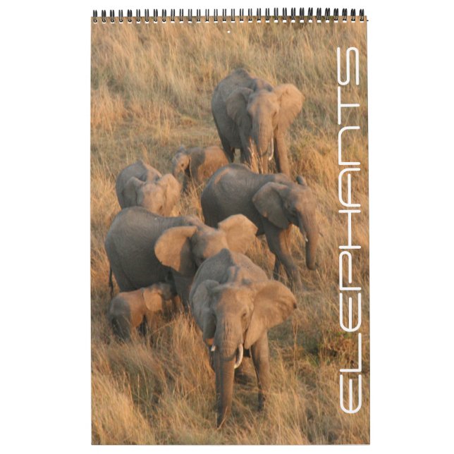 Calendrier safari d'éléphants (Protection)