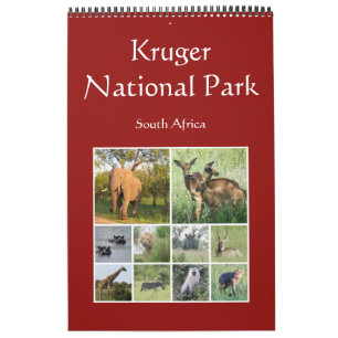 Calendrier safari en afrique kruger