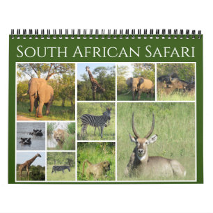 Calendrier safari sud-africain 2025