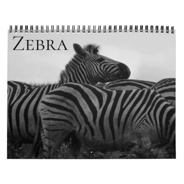 Calendrier safari zèbre 2026 (Protection)