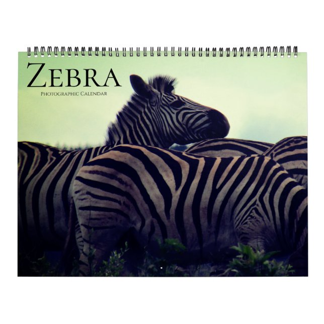 Calendrier safari zèbre 2026 grand format (Protection)