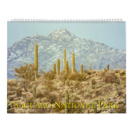 Calendrier Saguaro National Park Landscape
