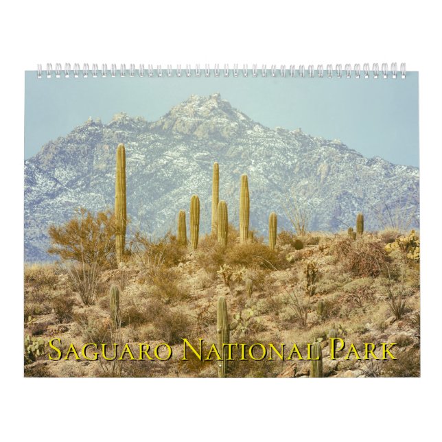 Calendrier Saguaro National Park Landscape (Protection)