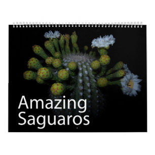 Calendrier Saguaros Extraordinaire