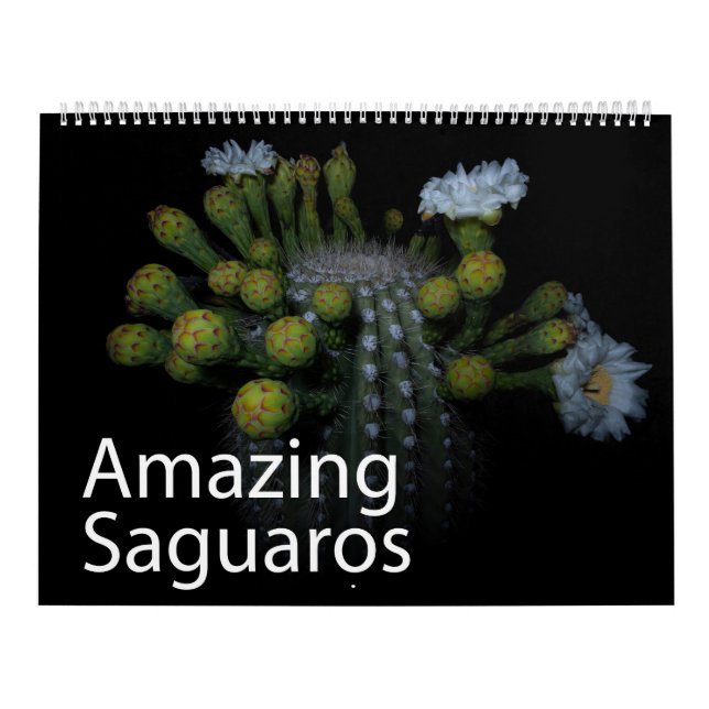 Calendrier Saguaros Extraordinaire (Protection)