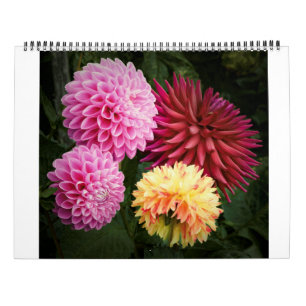 Calendrier San Francisco Dahlias 2022