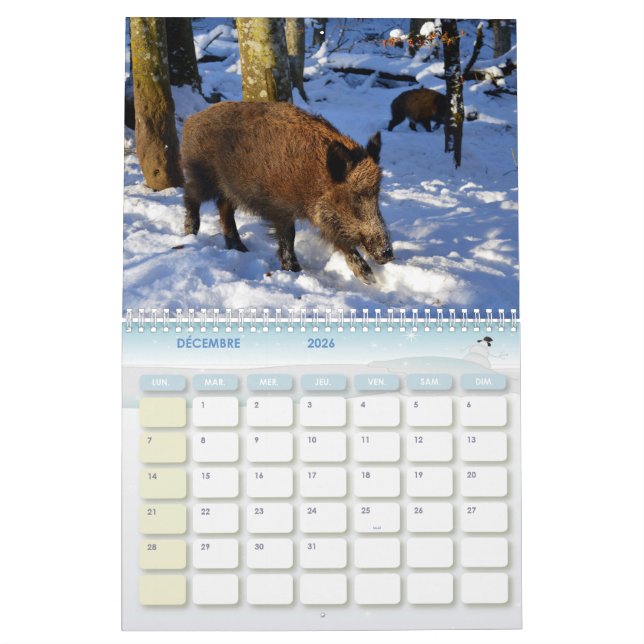 Calendrier Sanglier, Calendar Boars (Dec 2026)