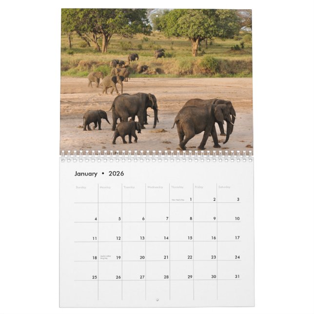 Calendrier sauvage de la Tanzanie (Jan 2026)