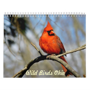 Calendrier sauvage de l'Ohio d'oiseaux