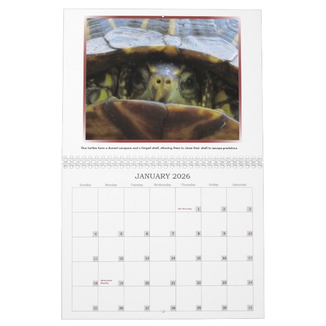 Calendrier sauvage des visages 2013 (Jan 2026)