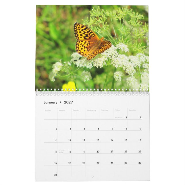 Calendrier Scènes d'un jardin d'agrément (Jan 2027)