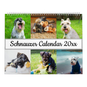 Calendrier Schnauzer