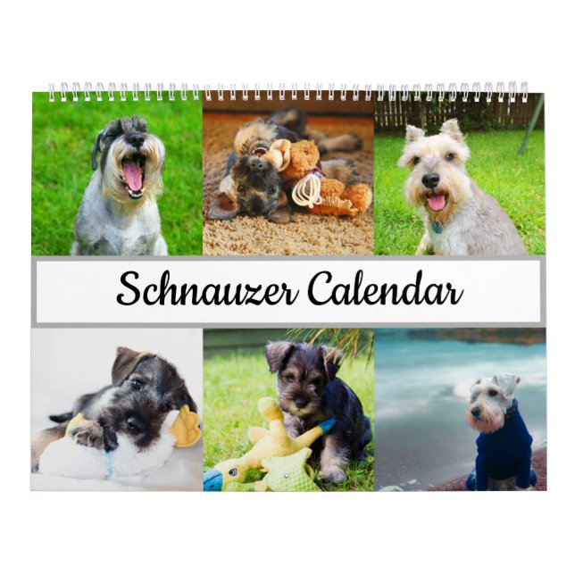 Calendrier Schnauzer (Protection)