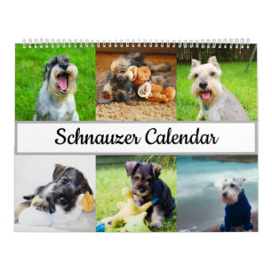 Calendrier Schnauzer 2022