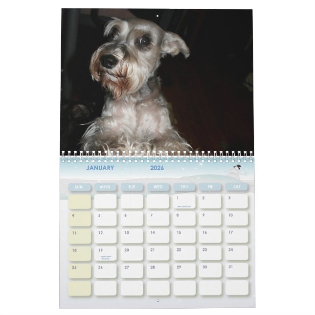 Calendrier Schnauzer Calander (Jan 2026)