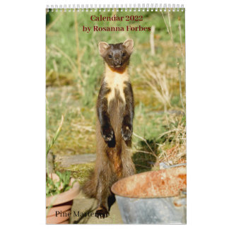 Calendrier Scottish Wildlife Calendar 2022