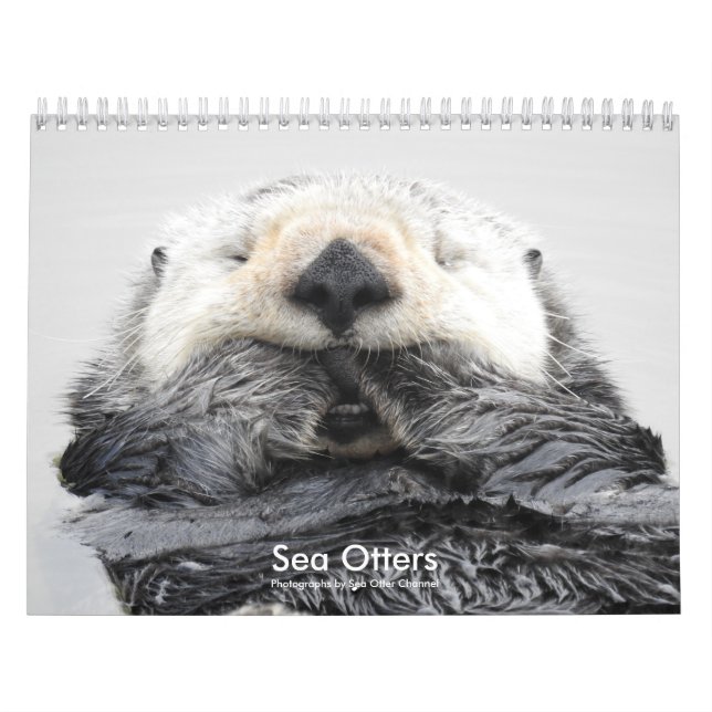 Calendrier Sea Otter Channel Calendar #2 (Protection)