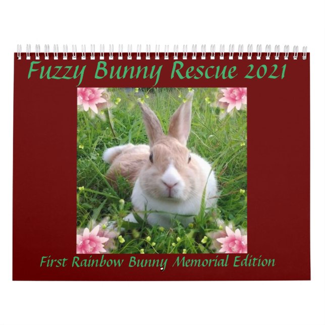 Calendrier Secourt de Bunny 2021 (Protection)