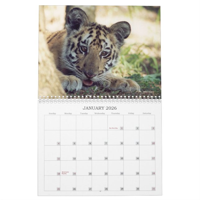 Calendrier secouru d'animaux (Jan 2026)