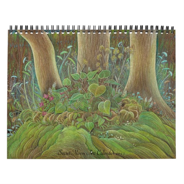 Calendrier secret 2011 d'art de lune (Protection)