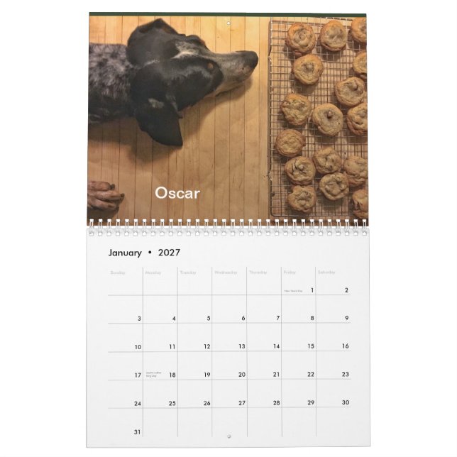 Calendrier Secteur 2019/2020 de chien (Jan 2027)