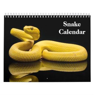 Calendrier Serpent 2027