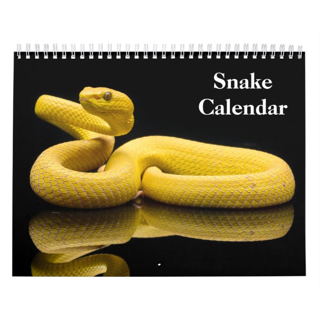 Calendrier Serpent 2027 (Protection)