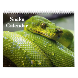 Calendrier Serpent 2027