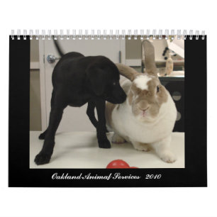 Calendrier Services animaux d'Oakland - 2010