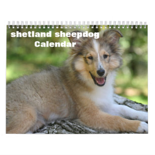 Calendrier Shetland Sheepdog 2025