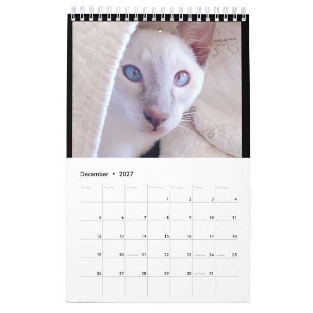 Calendrier Siamese Cats Calendar (Dec 2027)