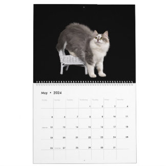 Calendrier Siberian Kittens Calendar