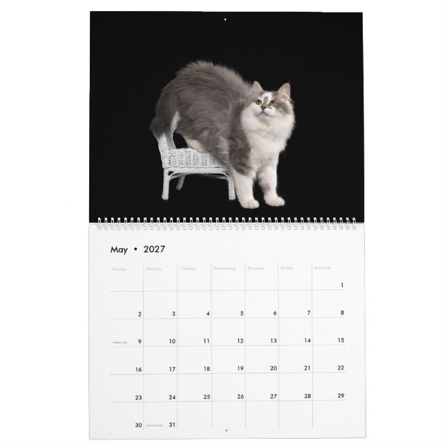 Calendrier Siberian Kittens Calendar (Mai 2027)
