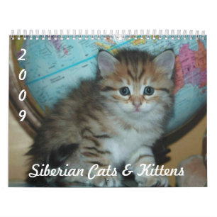 Calendrier sibérien 2009 de CHATS