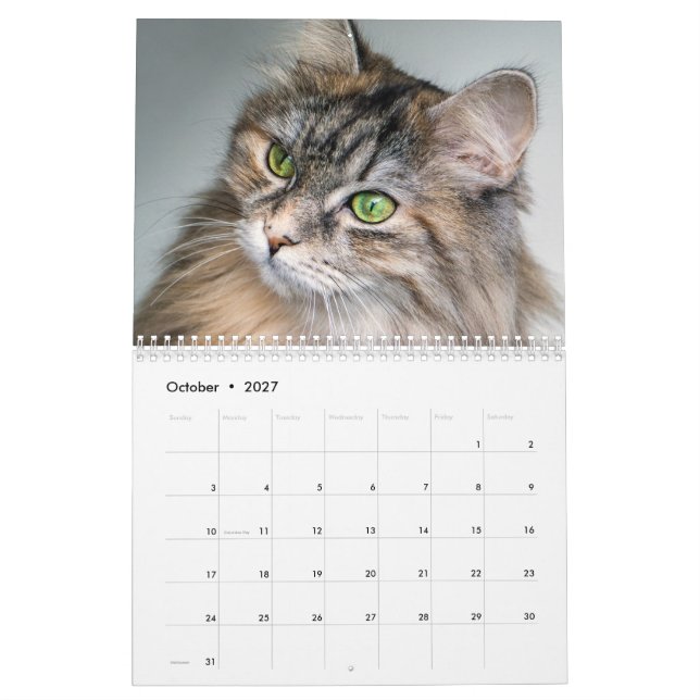 Calendrier Sibérien des chats 2019 (Oct 2027)